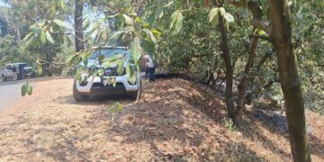 Recibe Arcelormittal México Distintivo Hecho En México