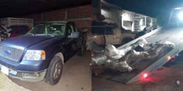 Identifica Los Síntomas Del Sarampión Y Protege Tu Salud: Ssm