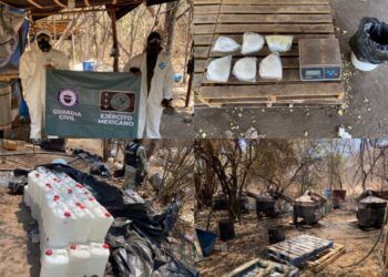 Desmantelan Laboratorio De Drogas Sintéticas En Los Pozos De Parácuaro 25 Identifica Los Síntomas Del Sarampión Y Protege Tu Salud: Ssm