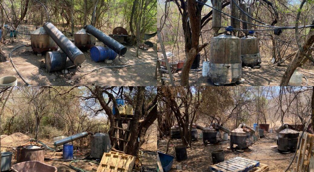 Identifica los síntomas del sarampión y protege tu salud: SSM