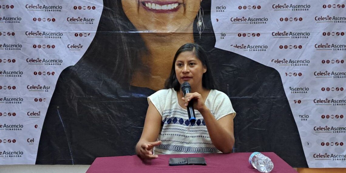 enadora Celeste Ascencio promueve participacion ciudadana en eleccion del Poder Judicia | El Día de Michoacán