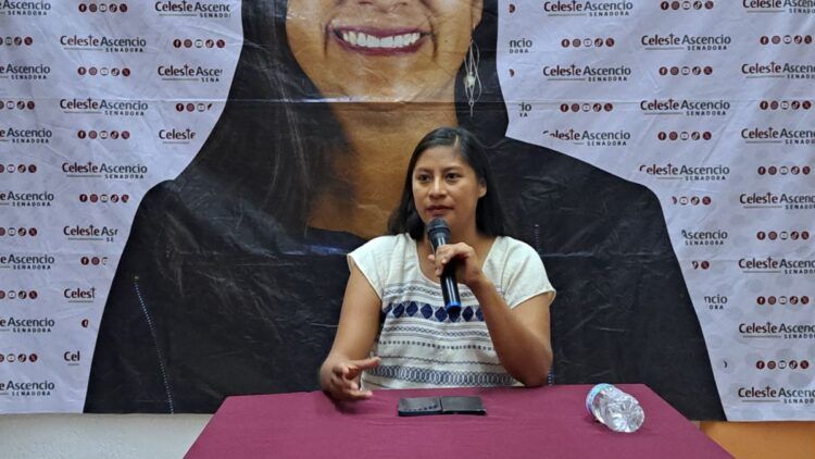 Senadora Celeste Ascencio Promueve Participación Ciudadana En Elección Del Poder Judicial 20 Senadora Celeste Ascencio Promueve Participación Ciudadana En Elección Del Poder Judicial