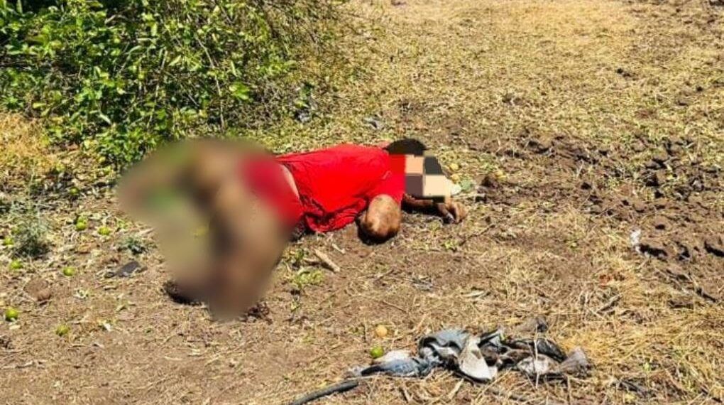 Tragedia Enluta Apatzingán: Joven Jornalero Muere Tras Pisar Artefacto Explosivo Improvisado