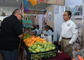 Frutas, Verduras Y Alimentos Frescos A Precios Accesibles En Festival Michoacán De Origen