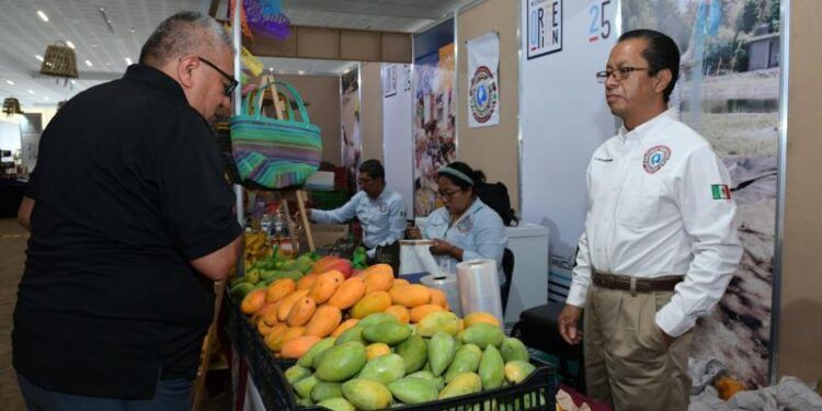 Frutas, Verduras Y Alimentos Frescos A Precios Accesibles En Festival Michoacán De Origen