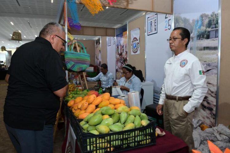 Frutas, Verduras Y Alimentos Frescos A Precios Accesibles En Festival Michoacán De Origen 20 Frutas, Verduras Y Alimentos Frescos A Precios Accesibles En Festival Michoacán De Origen