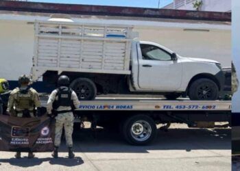 Truyen Plantio De Marihuana En Paracuaro Y Detienen A Uno