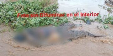 Campaña Contra El Consumo De Alcohol En Vía Pública Iniciativa Estatal