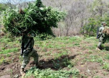 Detiene Presunto Responsable Del Homicidio De Un Albañil En Coalcomán