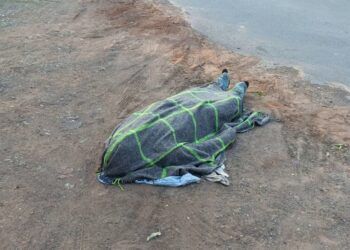 Salud Casa Por Casa Es Un Gran Acierto De Sheinbaum: Bedolla