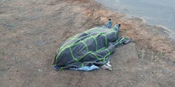 Salud Casa Por Casa Es Un Gran Acierto De Sheinbaum: Bedolla