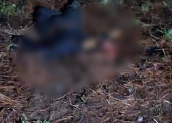 Vinculado A Proceso A Responsable De Homicidio De Un Albañil, Cometido En Coalcomán