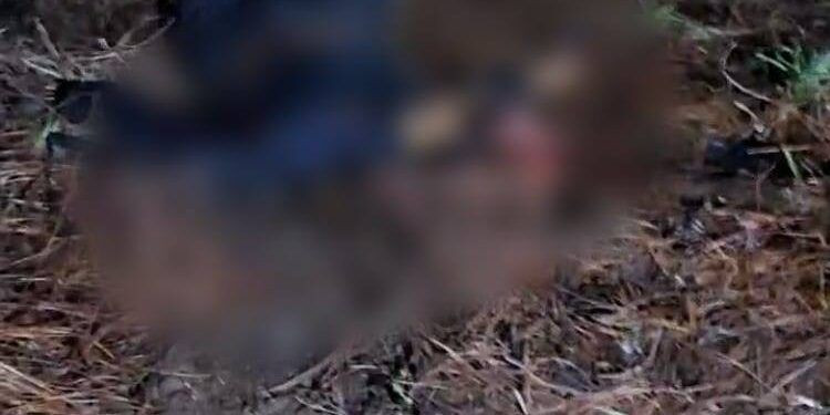 Vinculado a proceso a responsable de homicidio de un albañil, cometido en Coalcomán