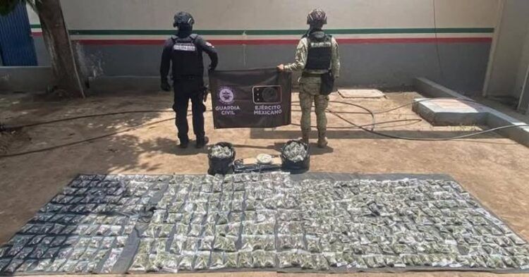 En Cateos Realizados En Madero Y Tarímbaro, Asegura Fge 12 Vehículos Con Reporte De Robo Y Alteraciones En Los Medios De Identificación