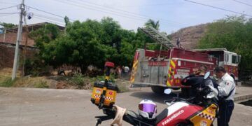 Diputado Federal José Luis Cruz Se Reúne Con Alcaldesas De Buenavista Y Tepalcatepec Para Gestionar Recursos Conjuntos