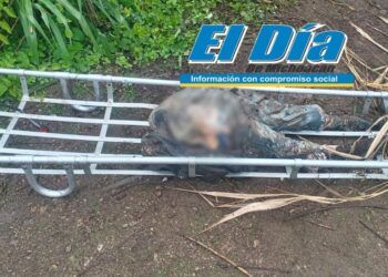 Detiene Fge En Nayarit A Responsable Del Homicidio Del Presidente Municipal De Tacámbaro Y Su Escolta