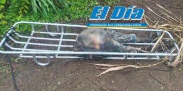 Detiene Fge En Nayarit A Responsable Del Homicidio Del Presidente Municipal De Tacámbaro Y Su Escolta