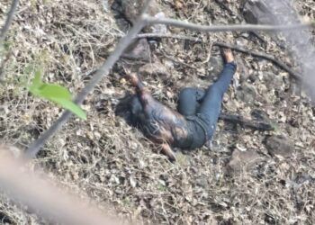 Fiscalía De Michoacán Realiza Actos De Investigación Por El Homicidio Del Presidente Municipal De Tacámbaro Y Su Escolta