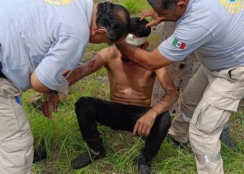 Hospital Infantil Brinda Atención Psicológica Especializada Y Gratuita: Ssm