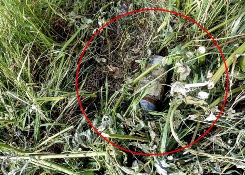 Localizan Y Destruyen Artefacto Explosivo En Zona Urbana De Buenavista
