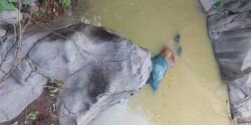 Michoacán Nos Necesita A Todos: Alfonso Martínez