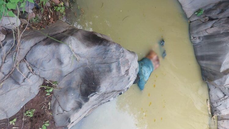 Michoacán Nos Necesita A Todos: Alfonso Martínez