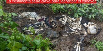 Localizan Osamenta Humana En Buenavista; Colectivos De Búsqueda Alertan Sobre Más Cuerpos En La Zona 22 Inician Carpeta De Investigación Por Hallazgo De Falso Artefacto Explosivo, En Uruapan