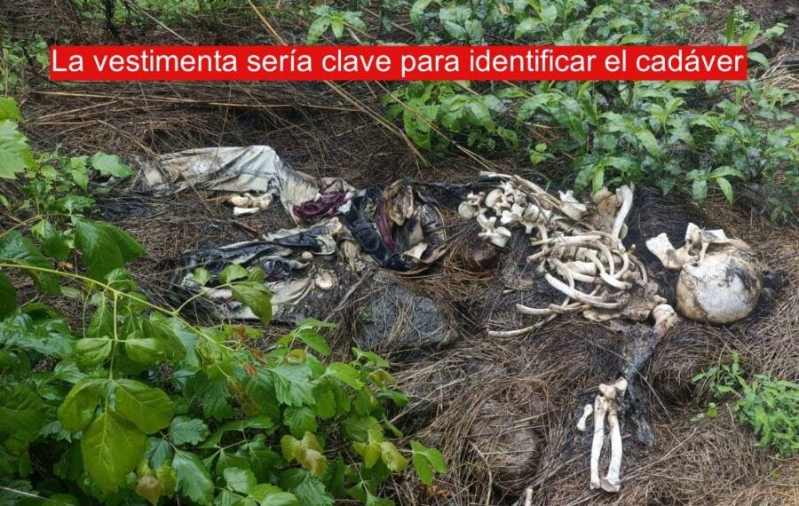 Localizan Osamenta Humana En Buenavista; Colectivos De Búsqueda Alertan Sobre Más Cuerpos En La Zona