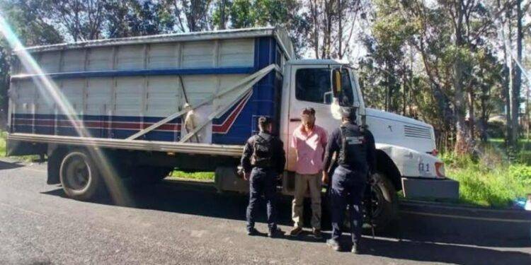 Capturan a guanajuatense en posesión de camión robado 1 Capturan a guanajuatense en posesion de camion robado - El día de Michoacán