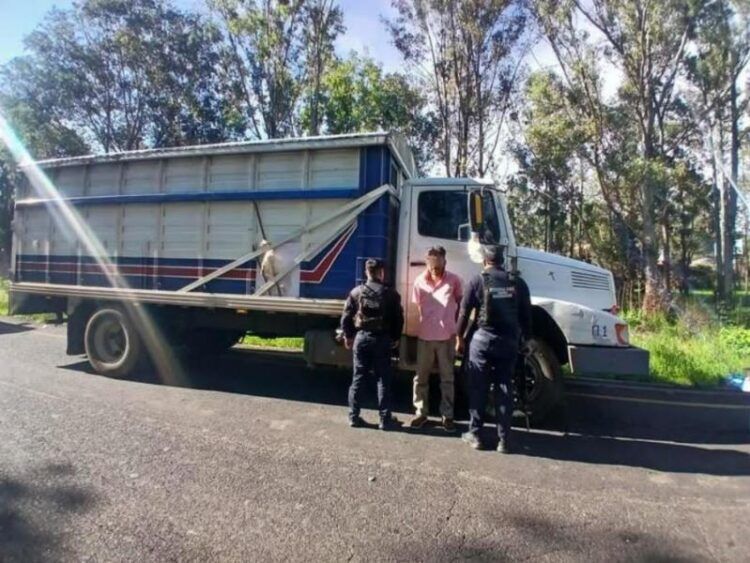 Capturan A Guanajuatense En Posesión De Camión Robado