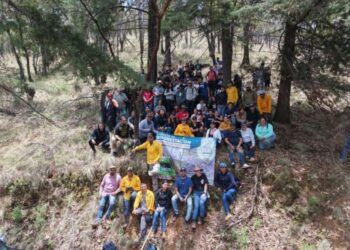 Comunidad Del Cecytem Purepero Reforesta