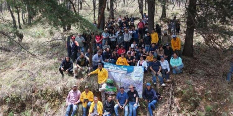 Comunidad del Cecytem Purépero reforesta con más de 3 mil árboles 1 Comunidad del Cecytem Purepero reforesta - El día de Michoacán