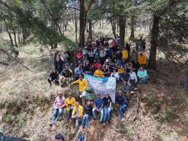 Comunidad Del Cecytem Purépero Reforesta Con Más De 3 Mil Árboles