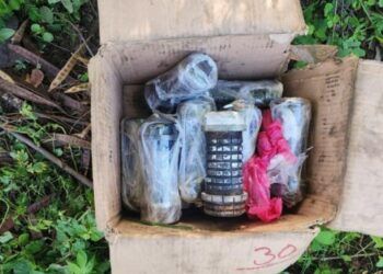 Cherán No Se Rinde: Ronda Comunitaria Enfrenta A Grupo Criminal