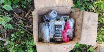 Cherán No Se Rinde: Ronda Comunitaria Enfrenta A Grupo Criminal