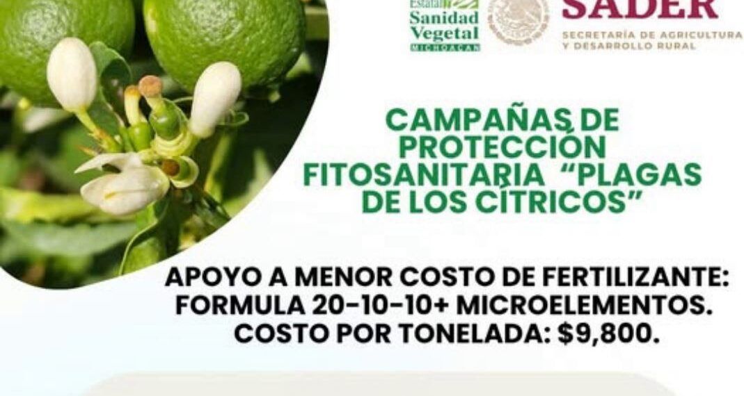 Gobierno de Buenavista Reitera Apoyo al Campo