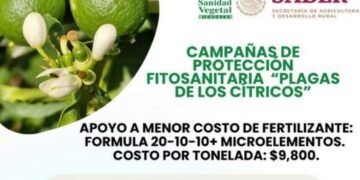 Gobierno De Buenavista Reitera Apoyo Al Campo - El Día De Michoacán