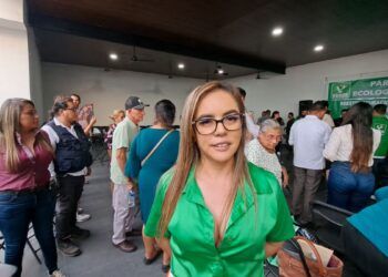 Hospital Infantil Brinda Atención Psicológica Especializada Y Gratuita: Ssm