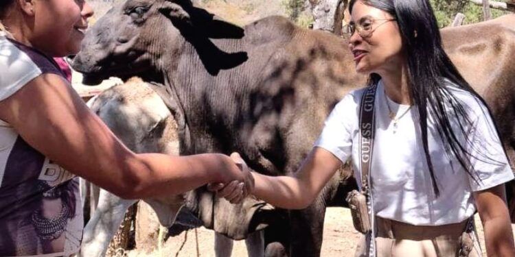 Disponible, Convocatoria De Becas Para Bachillerato En Escuelas Incorporadas: See