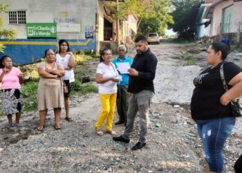 Han Accedido A Afiliarse Al Partido Verde En Esta Campana Nacional Vigente