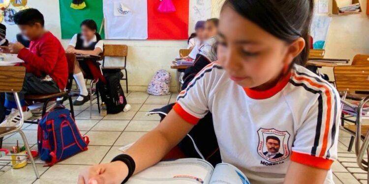 ¿Conoces la nueva boleta para primarias? SEE la explica
