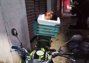 En Puruándiro, Alfonso Martínez Promueve Riqueza Cultural De Morelia