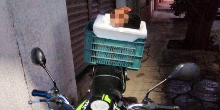 Abandonan cabeza humana de mandaditos arriba de su motocicleta en Apatzingán 1 En Puruándiro, Alfonso Martínez promueve riqueza cultural de Morelia
