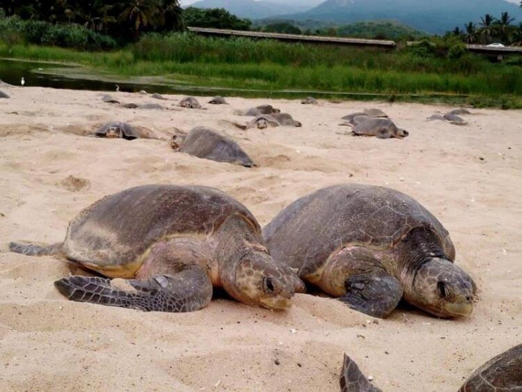 Acuerda Gobierno De Morelia Y Aurora Illinois, Fortalecer Relación En Apoyo A Migrantes