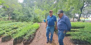 Francisco Soria Administrador Del Vivero Municipal De Apatzingan - El Día De Michoacán