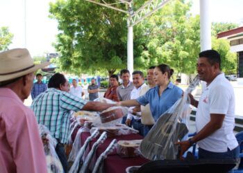 Irma Moreno Refuerza Su Apoyo A La Cultura Y El Folclore De Buenavista Con Entrega De Instrumentos Musicales 21 Tras Persecución, Aseguran Vehículo, Cartuchos Útiles Y Uniformes Apócrifos En Tingambato