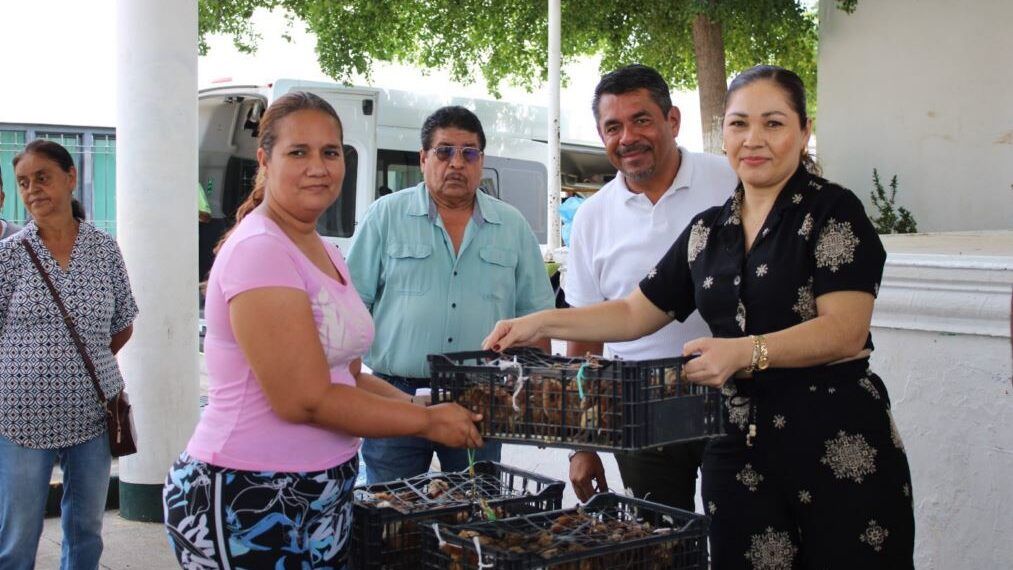 Irma Moreno Entrega Pollitas De Traspatio Para Fortalecer La Economía De Las Familias En Buenavista