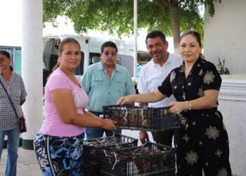 Morelia, Referente Nacional En Inclusión, Desarrollo Y Atención Social: Alfonso Martínez