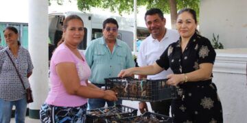 Irma Moreno Entrega Pollitas De Traspatio Para Fortalecer La Economía De Las Familias En Buenavista 22 Morelia, Referente Nacional En Inclusión, Desarrollo Y Atención Social: Alfonso Martínez