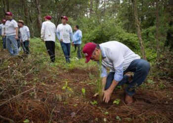 Convoca Raúl Morón A Michoacanos A Unirse Y Preservar El Medio Ambiente